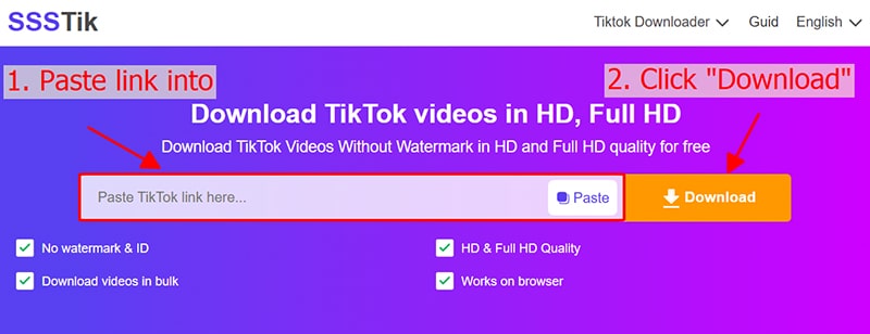 paste url into ssstik